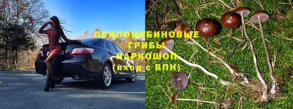 прущие крисы Заводоуковск