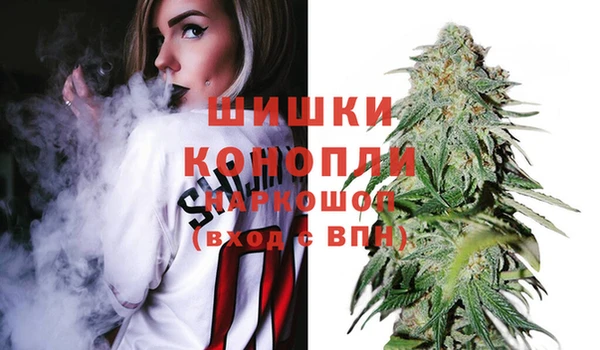 прущие крисы Заводоуковск
