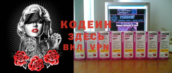 прущие крисы Заводоуковск