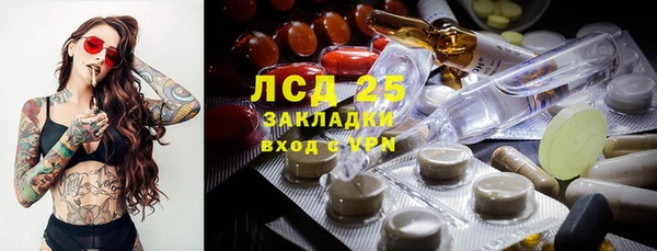 молекула духа Заволжье