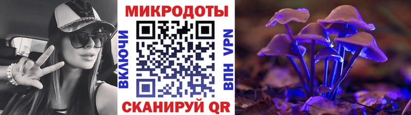 Псилоцибиновые грибы Psilocybine cubensis Новотроицк